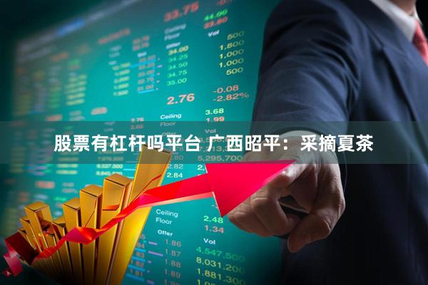 股票有杠杆吗平台 广西昭平：采摘夏茶