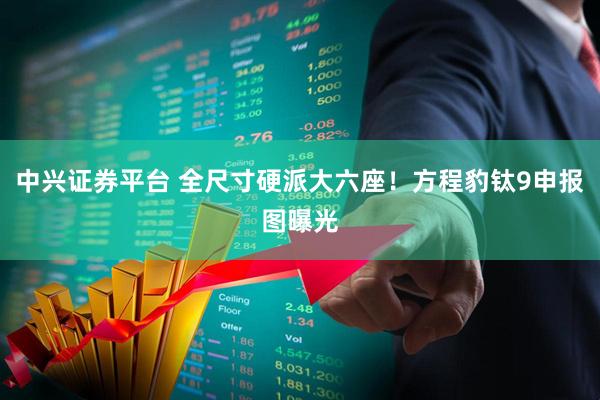 中兴证券平台 全尺寸硬派大六座！方程豹钛9申报图曝光