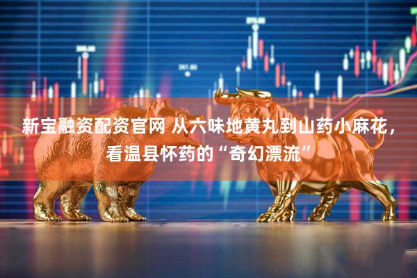 新宝融资配资官网 从六味地黄丸到山药小麻花，看温县怀药的“奇幻漂流”