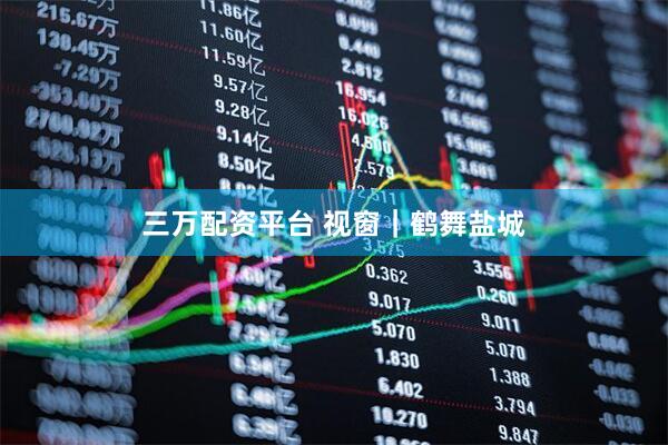 三万配资平台 视窗｜鹤舞盐城